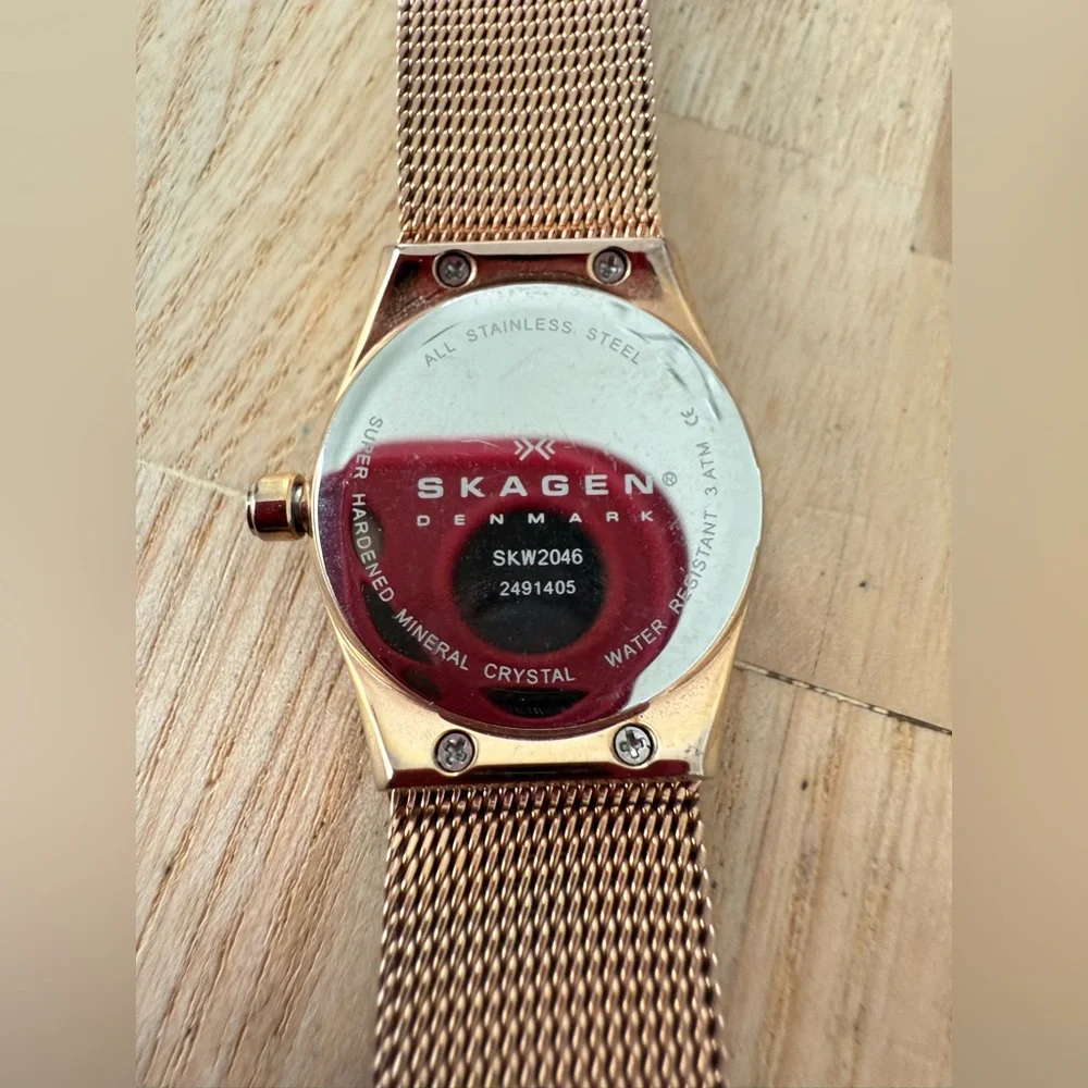 Skagen brand model